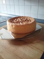 Wunderbarer Tortenbiskuit