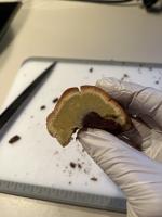 Wurde leider gar nichts…