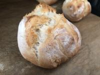 Meine Brötchen