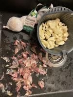 Knoblauch- von Schalen getrennt