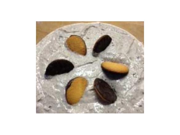 Rudina`s Jaffa Quark