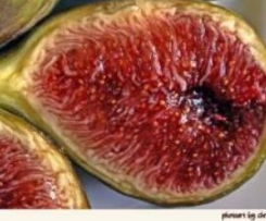 Feigenkonfitüre mit Prosecco