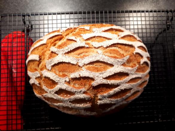 Weizenkruste mit Joghurt