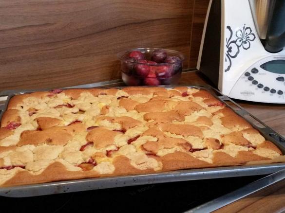 Saftiger Blech Pflaumen Streuselkuchen mit Vanillepudding 