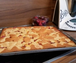 Saftiger Blech Pflaumen Streuselkuchen mit Vanillepudding 
