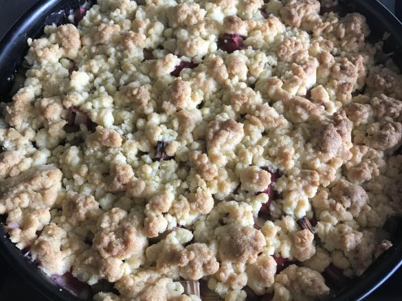 Rhabarber-Streuselkuchen mit Pudding ohne Matsch