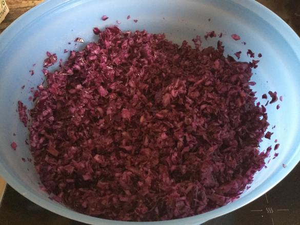 Saftiger Rotkohl Rohkost Salat