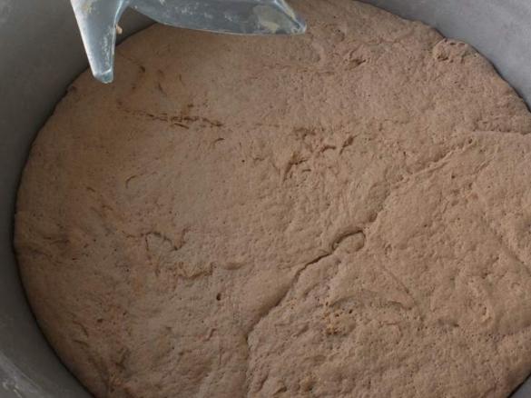 Sauerteig selbst herstellen und ansetzen - Die schnelle Variante