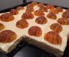 Aprikosen-Schmand Kuchen 