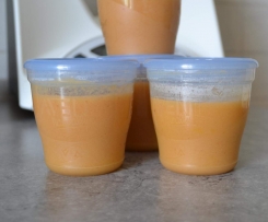 Apfel-Pflaumen-Trauben-Bananen Brei