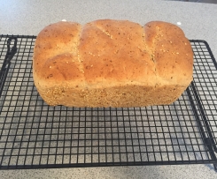 Toastbrot a la Körner Harmonie
