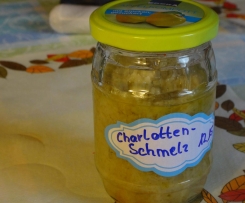 Zwiebelgrundstock "Zwiebelschmelz"