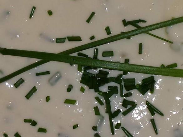 Kräuterquark Kartoffelcreme Sour Cream
