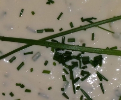 Kräuterquark Kartoffelcreme Sour Cream