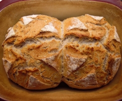 Walnussbrot (Pain aux noix)