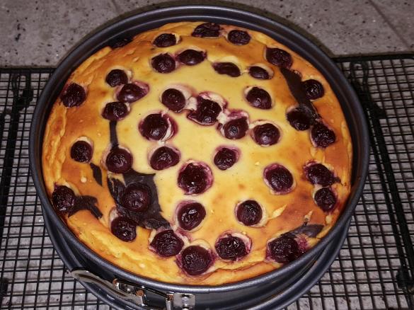 Zebra-Käsekuchen á la Thermiküchen Maichingen