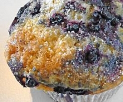 Blueberry Muffins