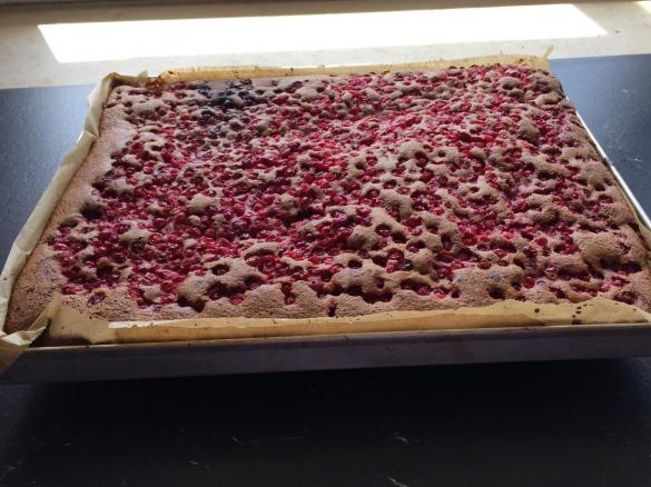 Johannisbeerblechkuchen