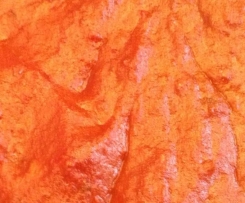 Tom's Hot Currysauce