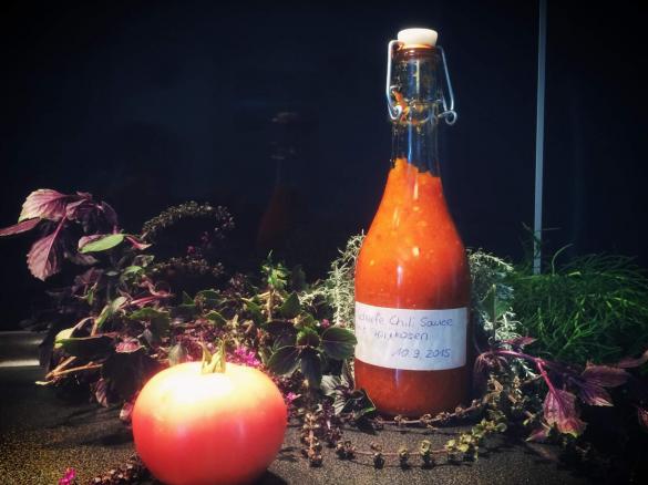 Scharfe Chili Sauce mit Aprikosen