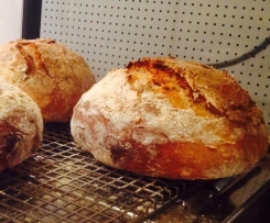 DInkelmöhrenbrot ein Sattmacher