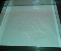 Mandarinen-Schmand-Sahne-Blechkuchen