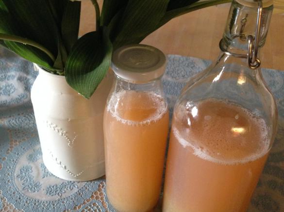 Rhabarber Sirup LowCarb