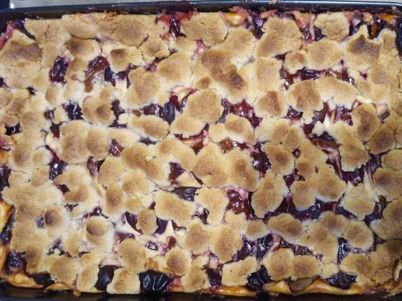 Zwetschgen Quark Kuchen