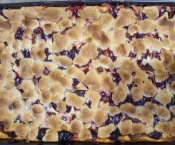 Zwetschgen Quark Kuchen