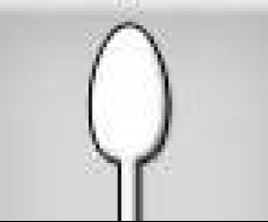 Himbeer-Balsamico-Essig