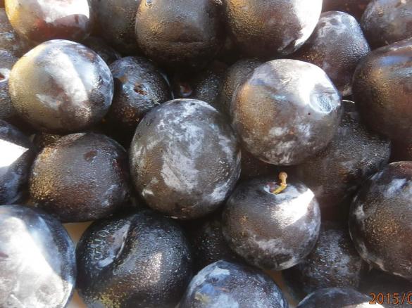 PFLAUMEN MARMELADE mit VARIATIONEN