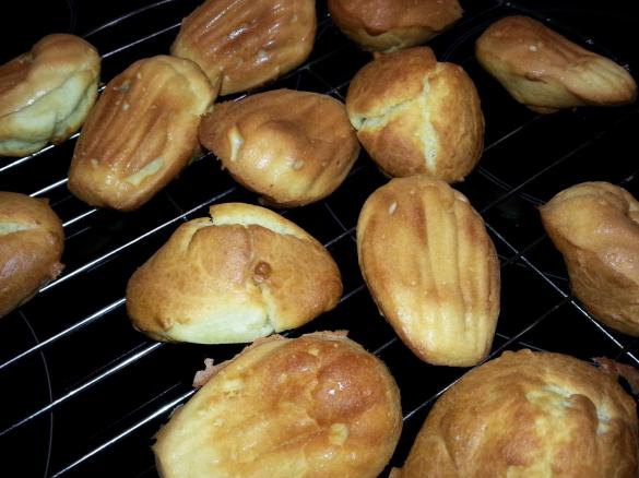 Madeleine mit Comté-Käse