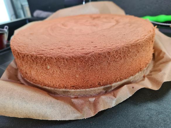 Wiener Tortenboden / Wiener Masse