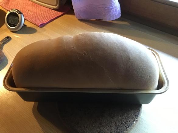 Toastbrot / Weißbrot, extrem fluffig