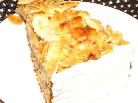 Apfelschokoladenkuchen Ratzfatz Apfelkuchen 28cm