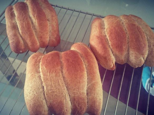 Dinkel- Reihensemmeln