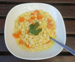 Möhren-Fenchel-Nudeltopf à la Thermiküche