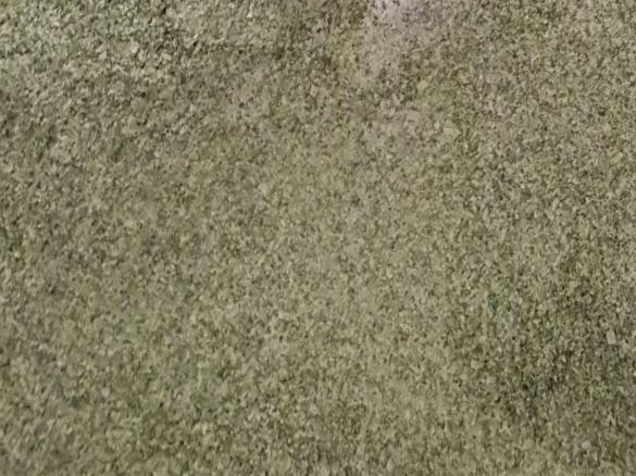 Nadines Bärlauchsalz