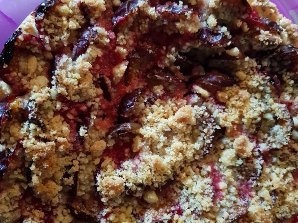 Zwetschgenkuchen mit Zwillingsteig