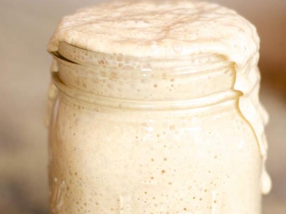 Alaskan Sauerteig Starter