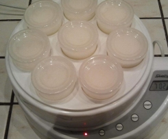 Selbstgemachter Joghurt