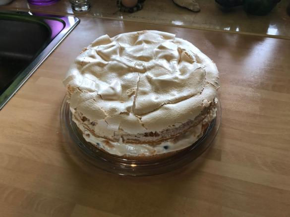 Mandarinen Blaubeer Kuchen