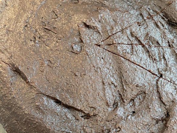 Vegane Schokoladen Tarte