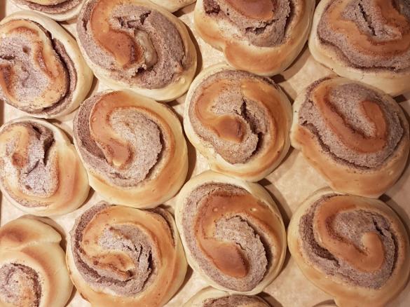 Nussschnecken mit Suchtfaktor