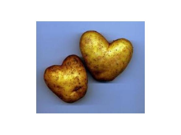 Gefüllte Kartoffeln mit Ruccola