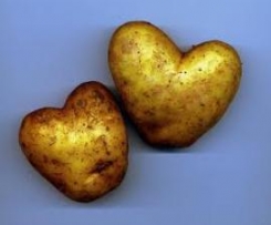 Gefüllte Kartoffeln mit Ruccola