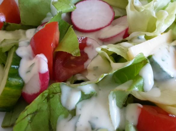 Joghurt Dressing