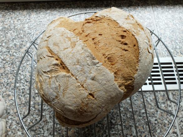 Glutenfreies Brot mit Flohsamenschalen
