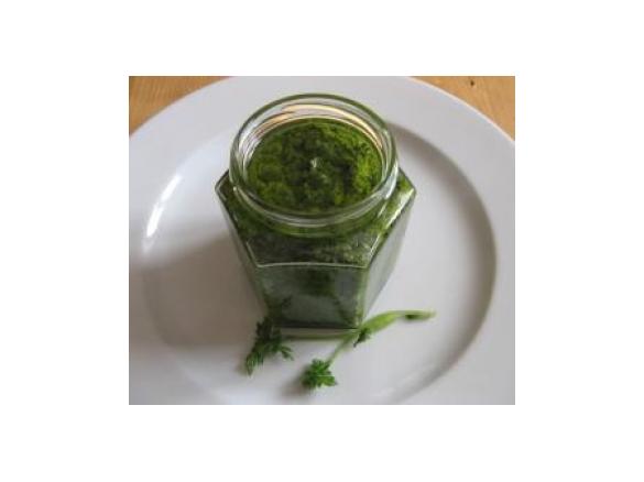 Kerbel-Pesto