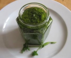 Kerbel-Pesto